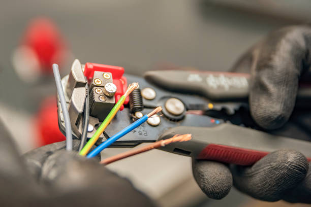 Best Electric Panel Repair  in Steilacoom, WA