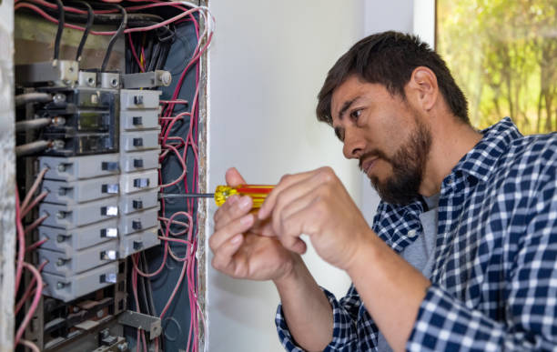Best Affordable Electrician  in Steilacoom, WA